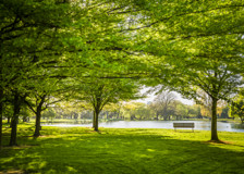 Thumbnail for Merivale