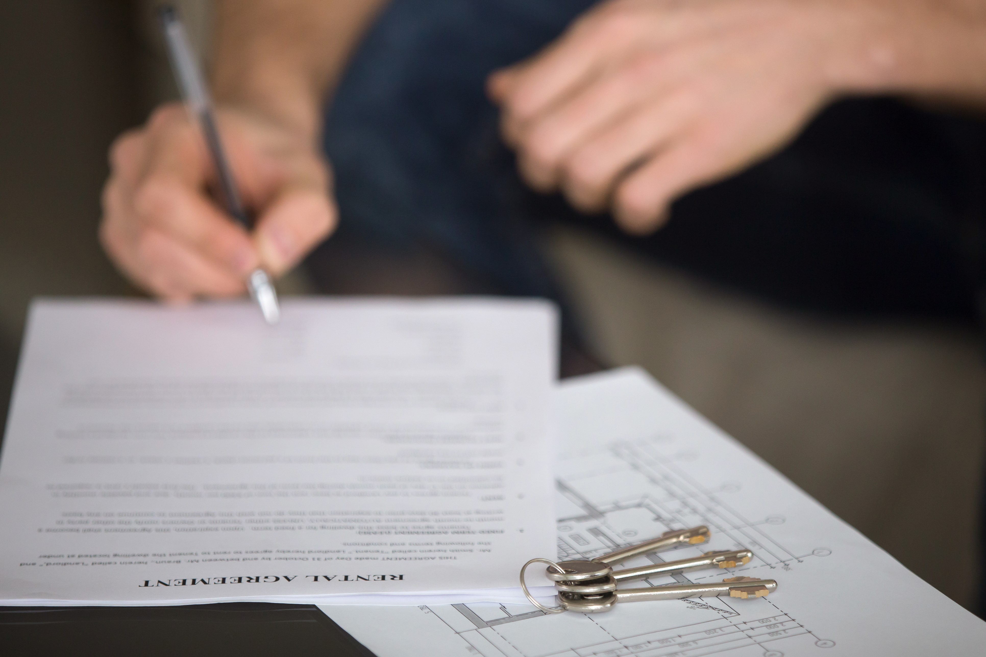 Image for Tenancy agreements - why you need one
