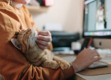 Blog post - New rules for pets in New Zealand rental properties