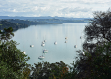 Thumbnail for Warkworth