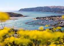 Thumbnail for Porirua