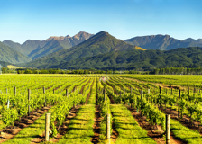 Thumbnail for Blenheim